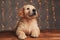 Cute golden retriever doggy looking up on background lights