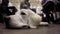 Cute golden retriever lying on floor near owner at airport looking on passengers