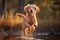 Cute Golden Retriever Puppy Fly in Air During a Playful Jump extreme closeup. Generative AI