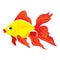 Cute goldfish icon, cartoon style