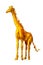 Cute golg giraffe in style low poly isolate on white