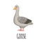 Cute Goose in flat style.