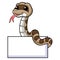 Cute gopher snake cartoon with blank sign