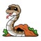 Cute gopher snake cartoon out from hole