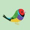 Cute gouldian finch vector illustration