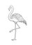 Cute graphic flamingo