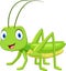 Cute grasshopper cartoon