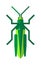 Cute grasshopper cartoon agricultural zoo large green locust nature insect flat vector.