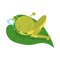 Cute Grasshopper Clipart for Kids Holidays and Goods. Happy Clip Art Grasshopper Sleeping on a Leaf. Vector Illustration