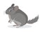 Cute gray chinchilla icon, fluffy pet, domestic animal, rodent, vector illustration