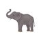 Cute gray elephant standing isolated on white background. Wild animal with large ears, long trunk and tail. Flat vector