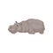 Cute gray hippo lying on floor. Wild African animal. Large hippopotamus. Wildlife theme. Flat vector icon