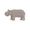 Cute gray hippo standing isolated on white background, side view. African animal. Wild creature. Flat vector design