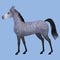 Cute gray horse with color spots. Thoroughbred Oryol trotter. Horse character for children's books.