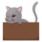 Cute gray kitten playing in a cardboard box, Vector illustration