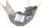 Cute gray kitten sleep in hammock with open book.