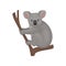 Cute gray koala sitting on tree branch. Australian marsupial animal. Wildlife theme. Detailed flat vector icon