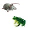 Cute gray mouse, Green frog with spots. spotted