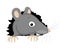 Cute gray rat.