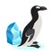 Cute great auk icon, black polar bird isolated on white background, extinct species, vector illustration.