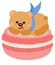 Cute greedy teddy bear on top of macaron