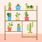 Cute, green, blooming cacti in simple ceramic pots stand on a tiered shelf on the floor in the room