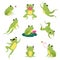 Cute Green Frog Jumping, Sitting on Leaf and Catching Fly Vector Set