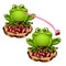 Cute green frog with a long pink tongue stole a precious stone ruby. Cartoon animals isolated on a white background
