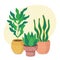 Cute Green houseplants composition