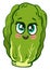 Cute green lettuce, illustration, vector