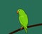 Cute green Parrot perch on branch, vector logo illustration. Tropical bird cartoon style.