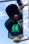 Cute, green pedestrian light with couple in Vienna, Austria.