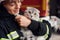 Cute grey colored scottish fold cat is in the hands of woman\\\'s firefighter that is in uniform at work in department