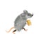 Cute grey downy cartoon mouse with a piece of cheese, mice cute wild or domestic animal, vector character. Rat furry rodent mascot