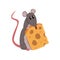 Cute grey mouse holding piece of cheese, funny rodent character vector Illustration on a white background