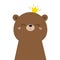 Cute grizzly bear face head icon. Kawaii animal. Golden crown. Cartoon funny baby character. Kids print for poster, t-shirt. Love