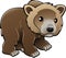 Cute Grizzly Brown Bear Vector
