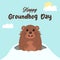 Cute groundhog crawls out of his hole. Happy Groundhog Day.