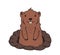 Cute groundhog looking out from the burrow on white background. Groundhog day. Line vector illustration. Colored cartoon