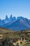 Cute group of guanaco famous local wild nature animal grazing golden yellow grass in autumn, south Patagonia, Chile and Argentina