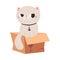 Cute Grumpy Cat with White Coat and Collar Sitting on Cardboard Box Vector Illustration