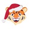 Cute grumpy tiger character, simbol of New Year in a red Christmas cap. Wild animals of africa, face with angry emotions