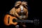 Cute guinea pig with acoustic guitar on a black background.