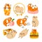 Cute guinea pigs characters, vector illustration set