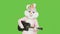 Cute guitar teacher is playing music, having fun. Easter bunny life-size suit plays funny music. Chroma key green screen