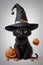 Cute halloween black cat with wizard hat and pumpkins