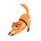 Cute Halloween cat in pirate costume. Funny feline animal disguised in holiday clothing, eye patch, sword. Helloween