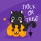 Cute Halloween cat vector and spider with pumpkin cartoon, Pretty kitty