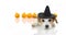 CUTE HALLOWEEN DOG WITCH OR WIZARD HAT COSTUME LYING DOWN AND P