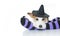 CUTE HALLOWEEN DOG WITCH OR WIZARD HAT LYING DOWN OVER PURPLE